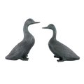 Spi Lucky Duckies Garden Pair Statues 21109